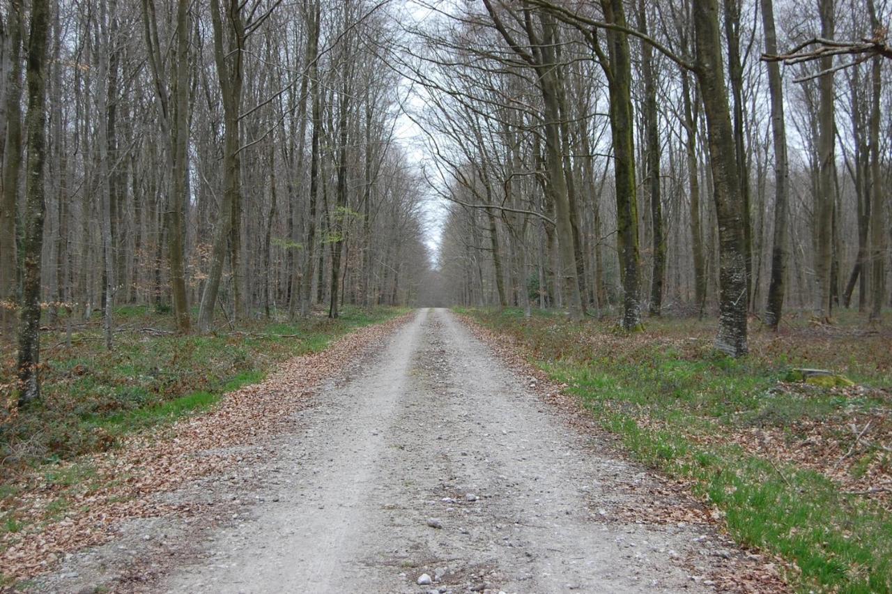Le Petit Gite De La Varenne Saint-Hellier Kültér fotó